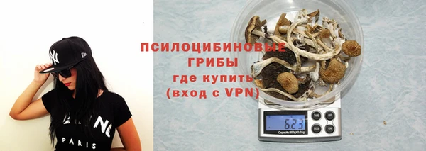 герыч Вяземский
