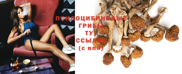 спиды Волоколамск