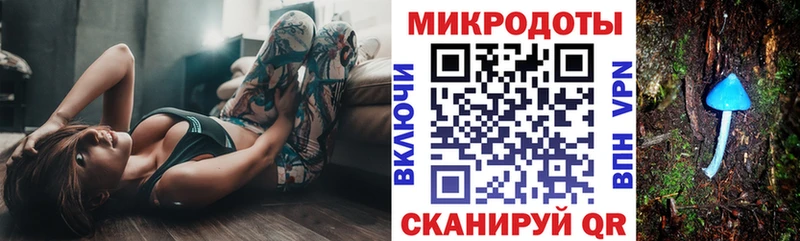 Галлюциногенные грибы Psilocybe  Пятигорск 