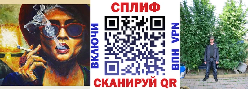 OMG вход  Пятигорск  Каннабис гибрид 